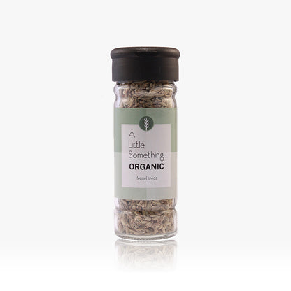 Organic Fennel Seeds